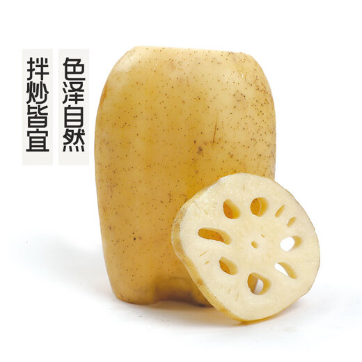 GAP certified seasonal fresh crispy lotus root 500g