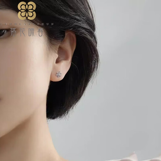 Falling Flowers and Crying Spring Platinum PT950 Snowflake Earrings Platinum Snow Elf Cartouche Earrings Gift Snow Elf