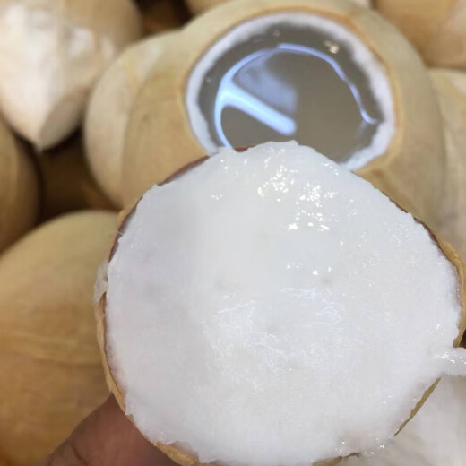 SF Thai Coconut King, freshly imported coconuts, fresh seasonal fruits, 5 pieces, each about 400g