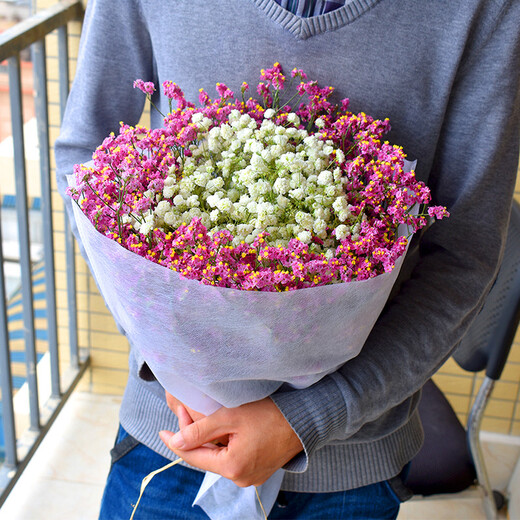AIMAN Gypsophila dried bouquet for home decoration, living room and bedroom decoration, flower arrangement, eternal freshness, birthday gift with vase, Gypsophila white + pink + white porcelain bottle, dried flower bag