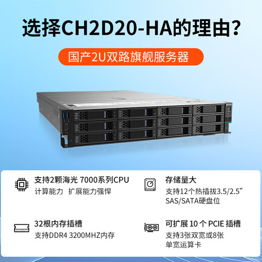 思腾合力国产信创自主可控华思CS2220-HA 海光Hygon 7360CPU处理器轻量训练丨密集推理丨服务器 Hygon 7375 2.0G 208W *2 16G/480G+1T/天垓100