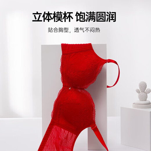 Oudifen underwear women's push-up small breasts show big bra sexy lace beautiful back adjustment bra XB3109