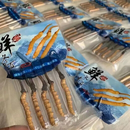新鲜冬虫夏草2025年头期虫草正品领导高海拔送礼正宗鲜虫草过节 0.8-0.9克/根  10根鲜虫草 冬虫夏草  顺丰发货