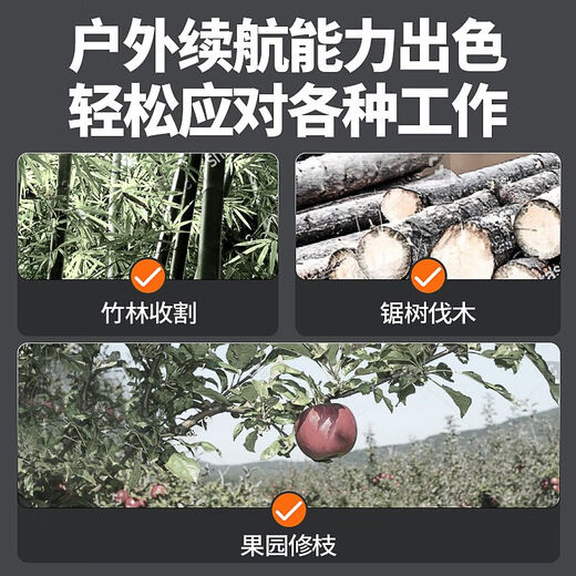 JIAPU electric chainsaw, rechargeable logging saw, household sawing, lithium battery, one-hand sawing tool, small handheld electric chain saw, high-end model, 6-inch 928O0H+3 chain, one electric, brushless