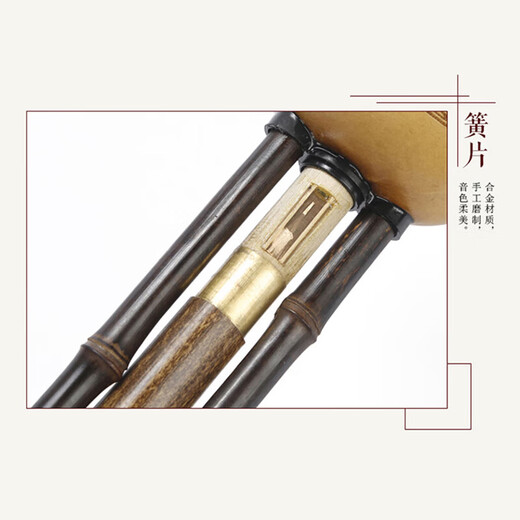 相思鸟葫芦丝乐器 三音可拼插C调紫竹梅花扣葫芦丝初学 XS2035