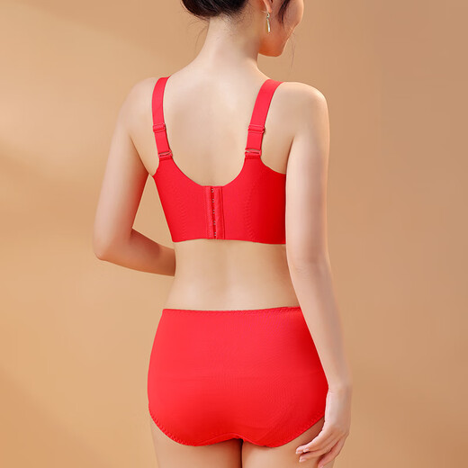 Langsha large size bra set for the year of the animal, big red, big breasts, smaller breasts, year of the horse, full cup bra, underwear for women