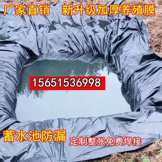 Agricultural University Gothic thick 0.5 reservoir anti-seepage membrane geomembrane fish pond fish pond tarp slope protection plastic film leak-proof film 04 thickened water storage river pond leak-proof membrane 220g 20 years 4 meters wide 80 meters long thickened high density