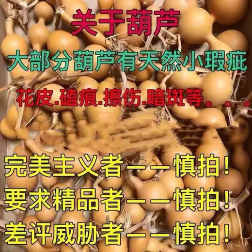 Danfeidi (Danfeidi) Ant Belly Hand Twisted Small Gourd Tip Belly Alien Art Hand Piece One Thing One Picture Quality Old Gourd 679