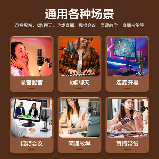 Wise Country Recording Studio Sound Quality Computer Microphone Dynamic Desktop Sound Card Live E-Sports Capacitor Game Mike K Song Radio Anchor Equipment Microphone Desktop Speaker Notebook 3.5