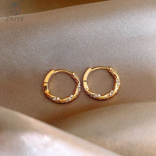 In the wild hoop earrings 2025 new trendy women unique niche unique light luxury high-end earrings simple autumn and winter earrings diamond small earrings gold