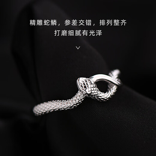 Starlight Silver Rhyme 925 sterling silver snake ring for men and women, light luxury, zodiac sign snake ring new style for lovers and friends, snake ring adjustment range 16-24#