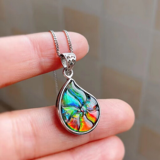 Cute Canadian Ammonite Snail Pendant