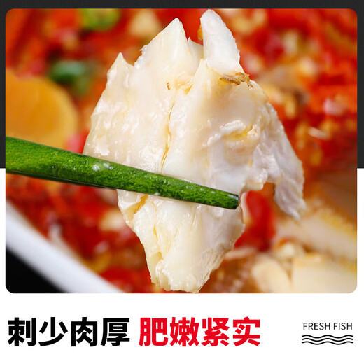 Selling fish Qilang red grouper net weight 3.2 Jin Jin equals 0.5 kilogram -3.4 Jin Jin equals 0.5 kilogram, a total of 2 sea-caught fresh frozen bigeye, whole rich fish