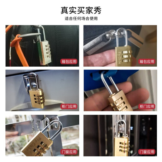 Fly.Globe combination lock suitcase copper padlock dormitory locker small lock luggage lock 320