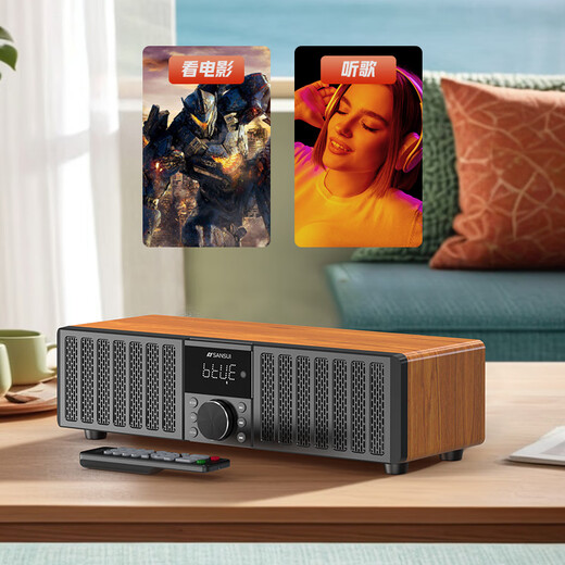 山水（SANSUI）N15家用无线蓝牙音响低音炮桌面ktv功放无损HiFi音箱专业音乐播放器客厅电视小型扩音器音箱 【家庭KTV音响】N13旗舰无麦版 【4D环绕震撼重低音桌面音响】