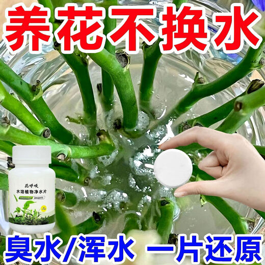 Fresh flowers, rich bamboo nutrient solution, hydroponic plant water purification tablets, disinfection tablets, flower shop purification water quality, hydroponic plant water purification tablets*2 bottles