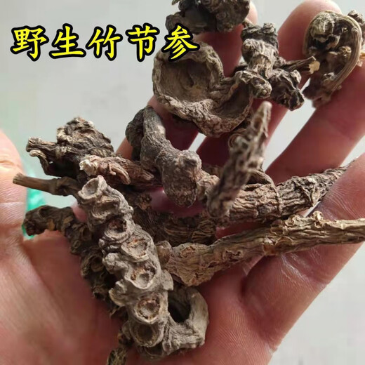 Beijing Tongrentang Bambú salvaje Ginseng Bambú Pintura de montaña Bambú Siete Bambú Panax Notoginseng Arhat Panax Notoginseng Medicina de hierbas chinas Bai San Wild Bamboo Ginseng 50G