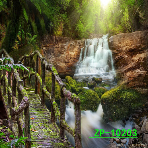
Shantoulin Village anchor background cloth 3D three-dimensional internet celebrity live broadcast room background landscape outdoor scenery background cloth ZP-10975 2 meters wide + 2 meters high (live broadcast size)