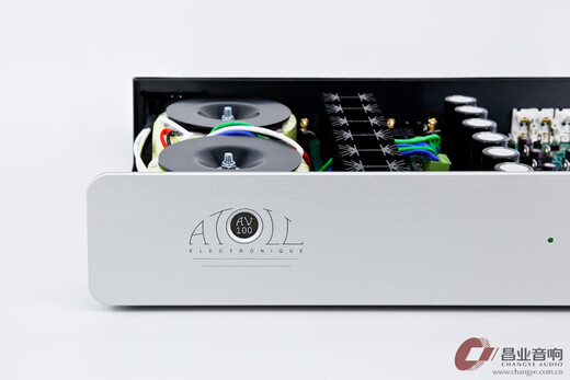 Changye French Coral Reef Atoll AV100 Importado Original Original de tres canales Cine en casa Multicanal Amplificador de nivel trasero puro