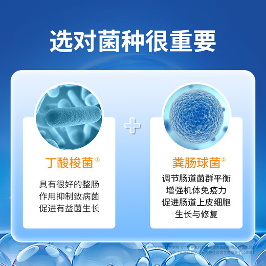 Probiotic live bacteria powder for birds, parrot, cockatiel, diarrhea and diarrhea, special electrolyte multi-dimensional glucose powder for birds, bird feed and additives, probiotics for birds 100g