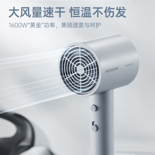 Feike Borui hair dryer household negative ion portable quick-drying hair care high-wind hair dryer for dormitory soft wind constant temperature hair care PH1636