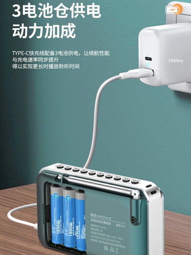 Jin Zheng (Nintaus) Multi-Funktion C7 Radio C6 Lautsprecher Walkman Timer Aufnahme tragbarer Kartenwiedergabe C7 Qingque LAN Timing/Record/Ordner/Blue Paket 14 16G Internet Celebrity Cover 833 Songs
