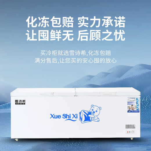 Xueshixi Commercial Kühlschrank Gefrierschrank Horizontale Kühlung mit großer Kapazität und Gefrierdoppelpurpulse Super großes Kupferrohr Gefrierschrank Doppeltemperatur Kühlschrank großer Kapazität Kühlschrank 828 Einzeltemperatur Kupferrohr-Upgrade-Modell (Länge 1,7 Meter)