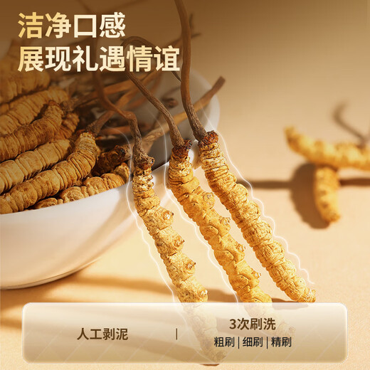 同仁堂品牌冬虫夏草约3根/g100g约300根礼盒高端送人礼物营养滋补品领导