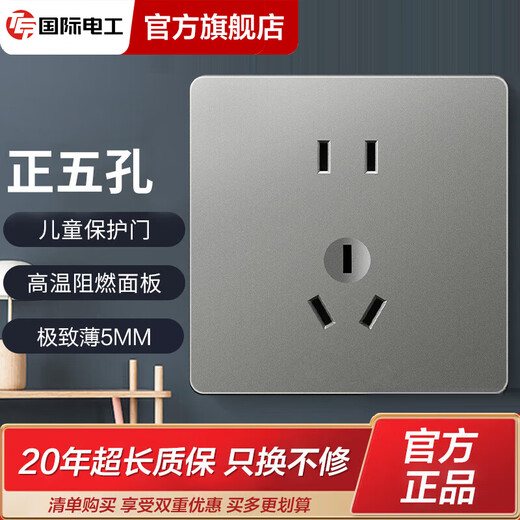 TEP国际电工超薄开关插座86型暗装磨砂灰色一开5五孔USB家用面板多孔电源插座 五孔插座(10A)（第一个看样价）