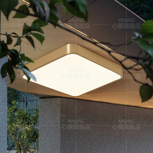 Heart mirror full copper outdoor ceiling light villa ultra-thin entrance door light corridor aisle balcony lamp terrace mosquito-proof courtyard X3893-600*800/rectangular