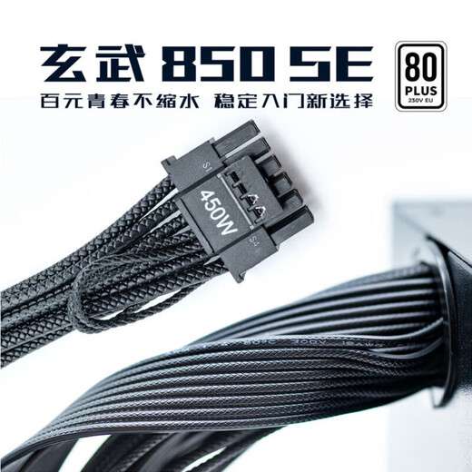 驿晨宇玄武850SE玄武850kill玄武850W电脑电源 峰值1200W/日系主电容/DC-DC超核负载 台式机主机电源850W 玄武850SE白色（850W铜牌） 电源标配配件周全【附电源安装包】