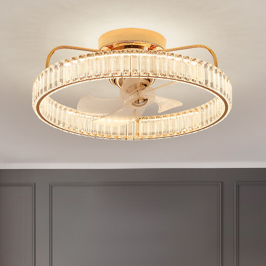 Fuxin modern light luxury bedroom fan light atmospheric ceiling fan lights dining room fan lights Guangdong Zhongshan lamps 686 models 50CM+360 headless