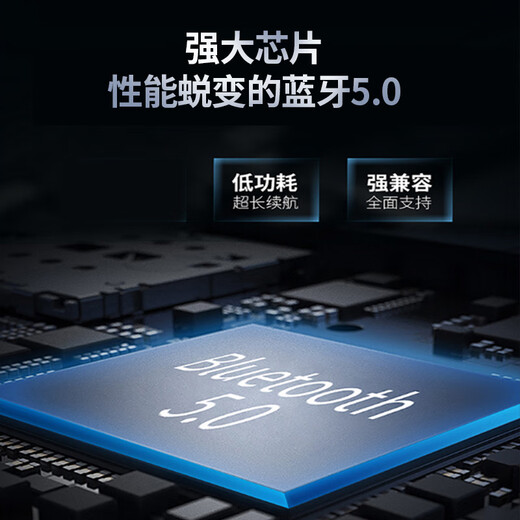 传世经典 黑金纪念版LM1875 LM3886功放整机 家用音响HIFI蓝牙5.0 LM1875整机带蓝牙
