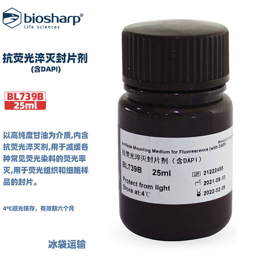 El agente de montaje de extinción antifluorescencia BIOSHARP BL739A/B (que contiene DAPI) se utiliza para el etiquetado nuclear y el montaje de muestras BL739B (25 ml/botella)