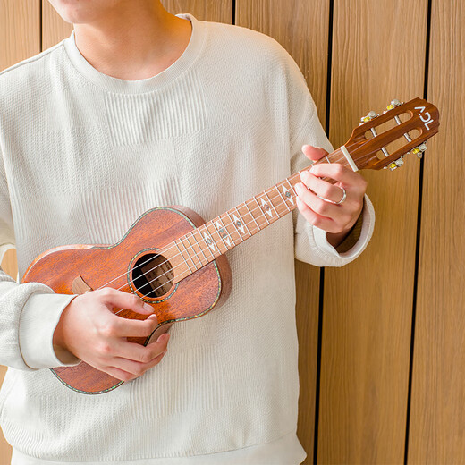 
Andrew Ukulele Beginner's Little Guitar 26-inch [Vector] Retro Color