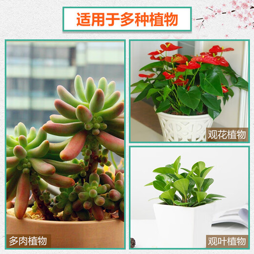 Nordherun universal nutrient soil 1L Latvian imported peat soil home gardening vegetable potting soil fertilizer