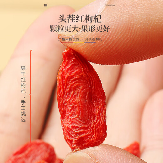 Fudonghai Red Wolfberry 1000g extra große Obstqualität ausgewählt Beste Wolfberry Free Geschenke in Zhongning, Ningxia