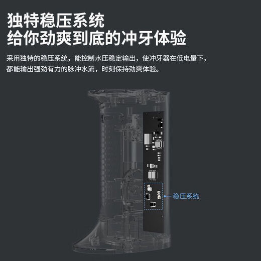 Xiaomi Mijia Electric Tooth Flush Meo701 Home Portable Water Flous