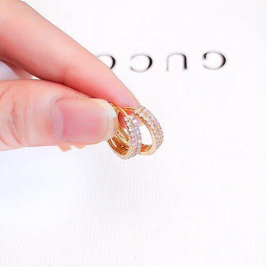 DL 1998 Rose Gold Earrings Temperament Earrings 2024 New Micro-Inlaid Fashionable Versatile Earrings Double Layer Round TS-220121