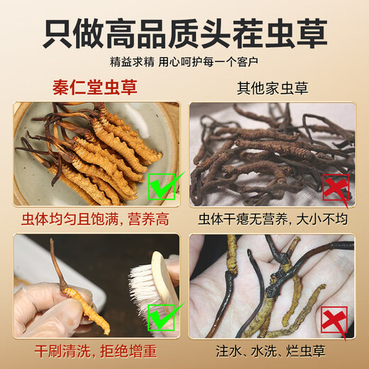 秦仁堂冬虫夏草 5根/g 4克 约20根礼盒装送礼佳品营养品冬虫夏草礼盒