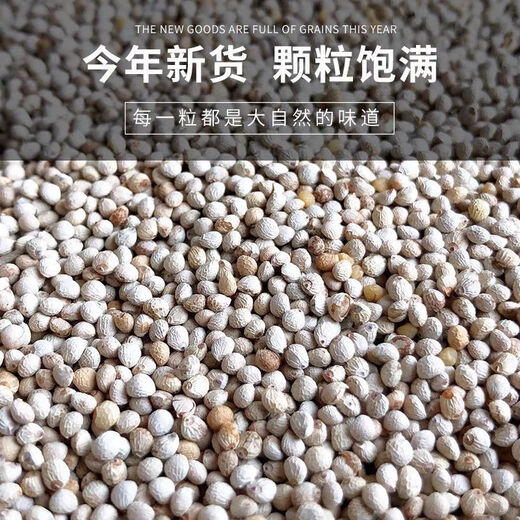 New white perilla large grain perilla seed bird food canary hibiscus bird oriole pearl white swallow jade bird food parrot bird food 250g white perilla seed