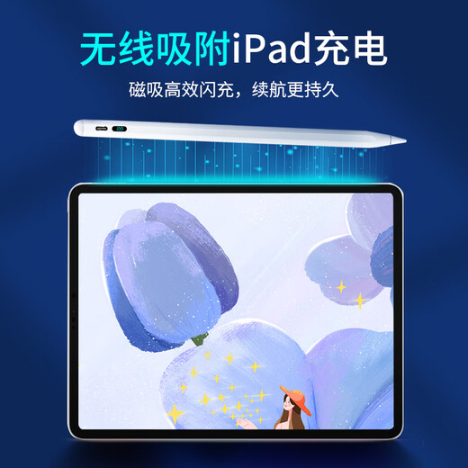 ALittleFlower电容笔iPad苹果笔24年新款Pro/Air6/5/4/Mini/iPad绘画触控手写笔【磁吸数显蓝牙高配款】学生