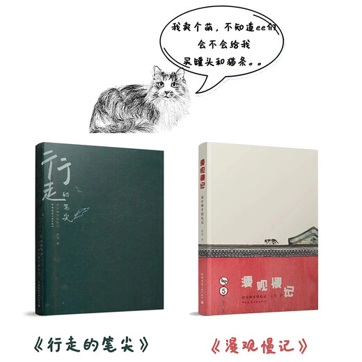 Notes peintes à la main du concepteur à la pointe du concepteur 9787112253524 Zhang Yu China Construction Industry Press