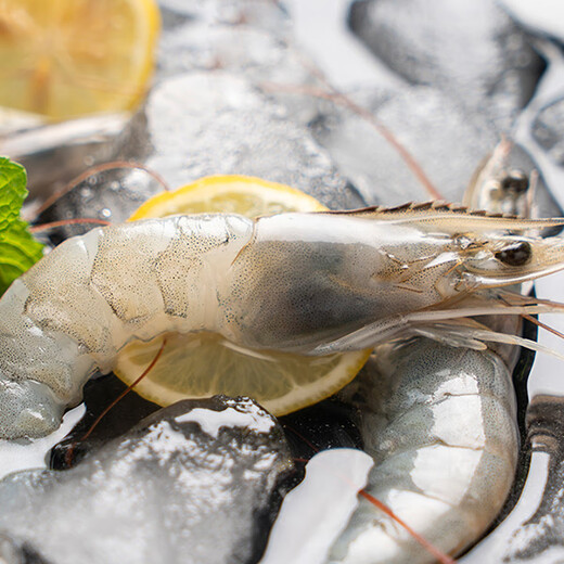 Jingdong Supermarket Overseas Direct Procurement Super Large Ecuadorian White Shrimp 3Jin Jin equal to 0.5kg (20/30Specifications) 30-45 pieces/box Hot Pot Prawns