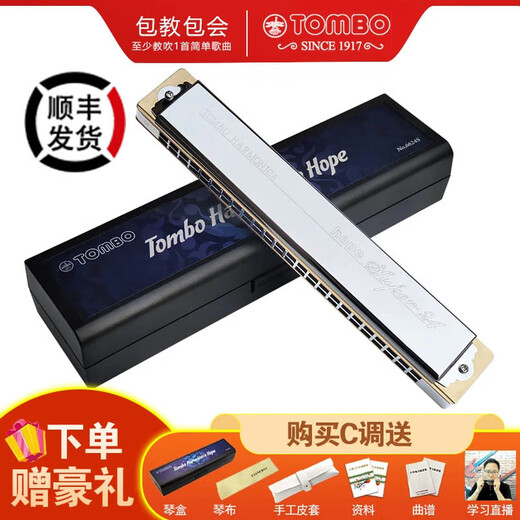 TOMBO Japan imported gongs 6624S rests custom modified to play electroplated copper grid 24-hole polyphonic harmonica 24-hole ENm natural minor
