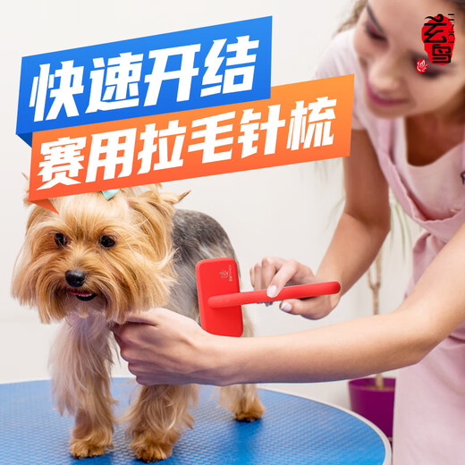 Xuanniao Yongbei Needle Comb Pet Needle Comb Dog Professional Cleaning Cat Needle Comb Supplies Pet Shop Special Brush Brush Floating Hair Professional Competition Level Pet Needle Comb Red M