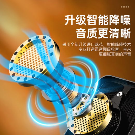 Wise Nation 48V/5V compatible microphone condenser professional live streaming game e-sports singing mobile phone microphone sound card computer karaoke special recording speaker recording equipment