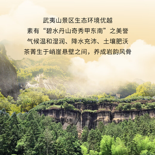 中茶海堤茶叶乌龙茶AT102A老枞水仙武夷岩茶经典黄罐升级版