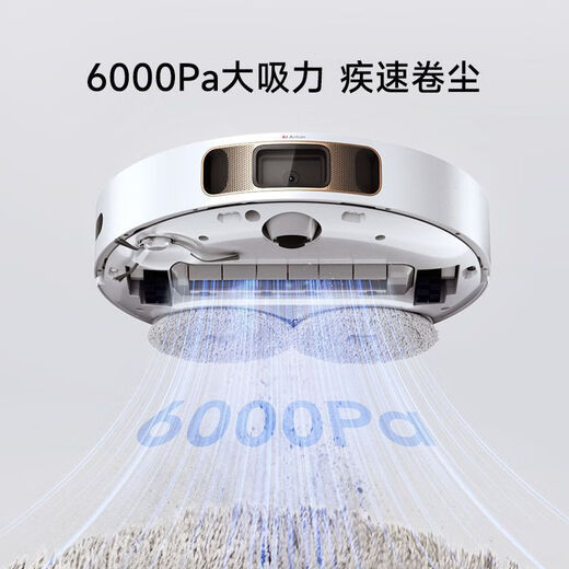 追觅扫地机器人S20 Pro机械臂 热水版 银离子除菌 自动上下水扫拖一体自动清洗集尘热风干大吸力扫地机 S20PRO 超薄自动上下水版
