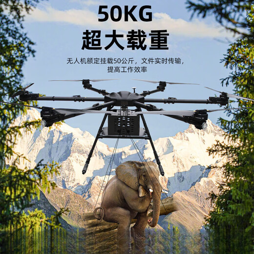Lingle große Belastungskapazität von 100 Kilometern [Jin entspricht 0,5 Kilogramm] UAV -maßgeschneiderte Transport und Abgabe landwirtschaftlicher Hebezeug- und Wurfflugzeuge 500 Kilogramm [Jin entspricht 0,5 Kilogramm] angepasstes Modell XLP1Z200 UAV -Lastkapazität von 200 Kilogrammen [Jin -Gleichungen 0,5 Kilograms].
